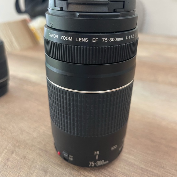 Canon 75-300mm lens - Picture 2 of 6